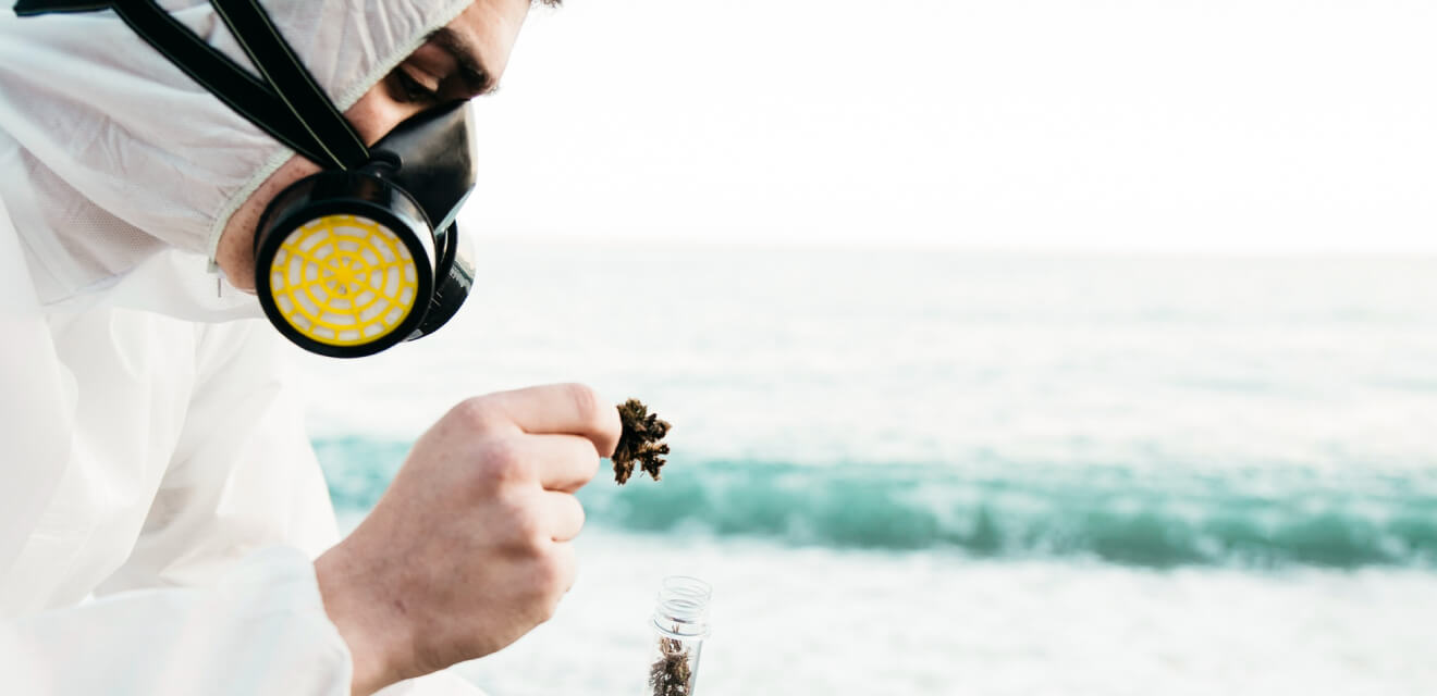 5 Eco-Friendly Pest Control Method You Should Know