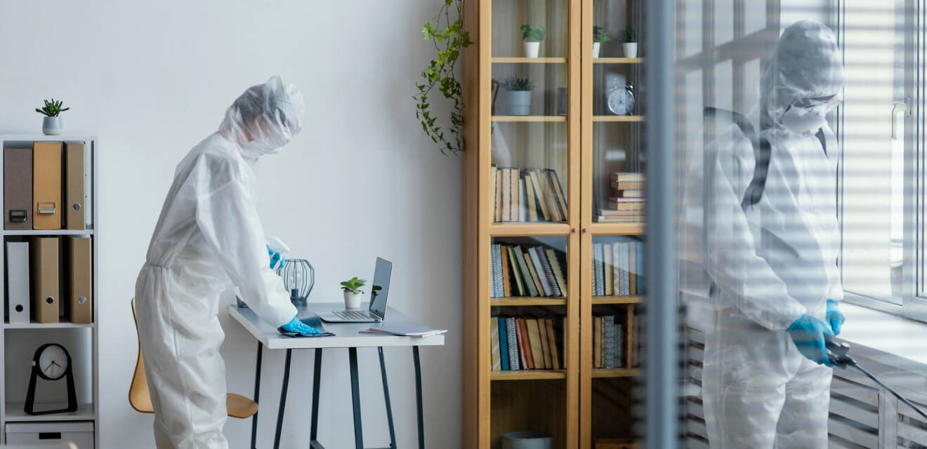 How to Keep Your Home Pest-Free This Winter