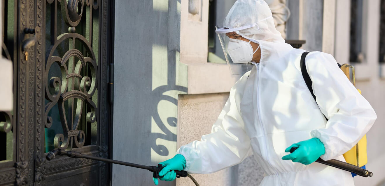 Bed Bug Identification And Treatment Guide