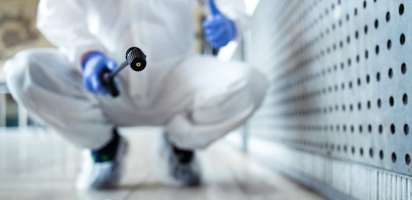 Preventing Rodents in Homesand Businesses